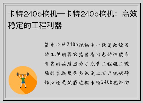 卡特240b挖机—卡特240b挖机：高效稳定的工程利器